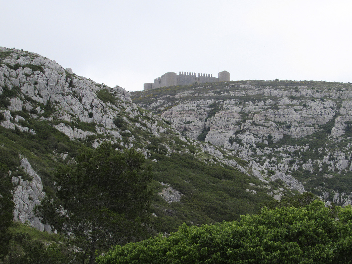 Горный массив Монгри, image of landscape/habitat.