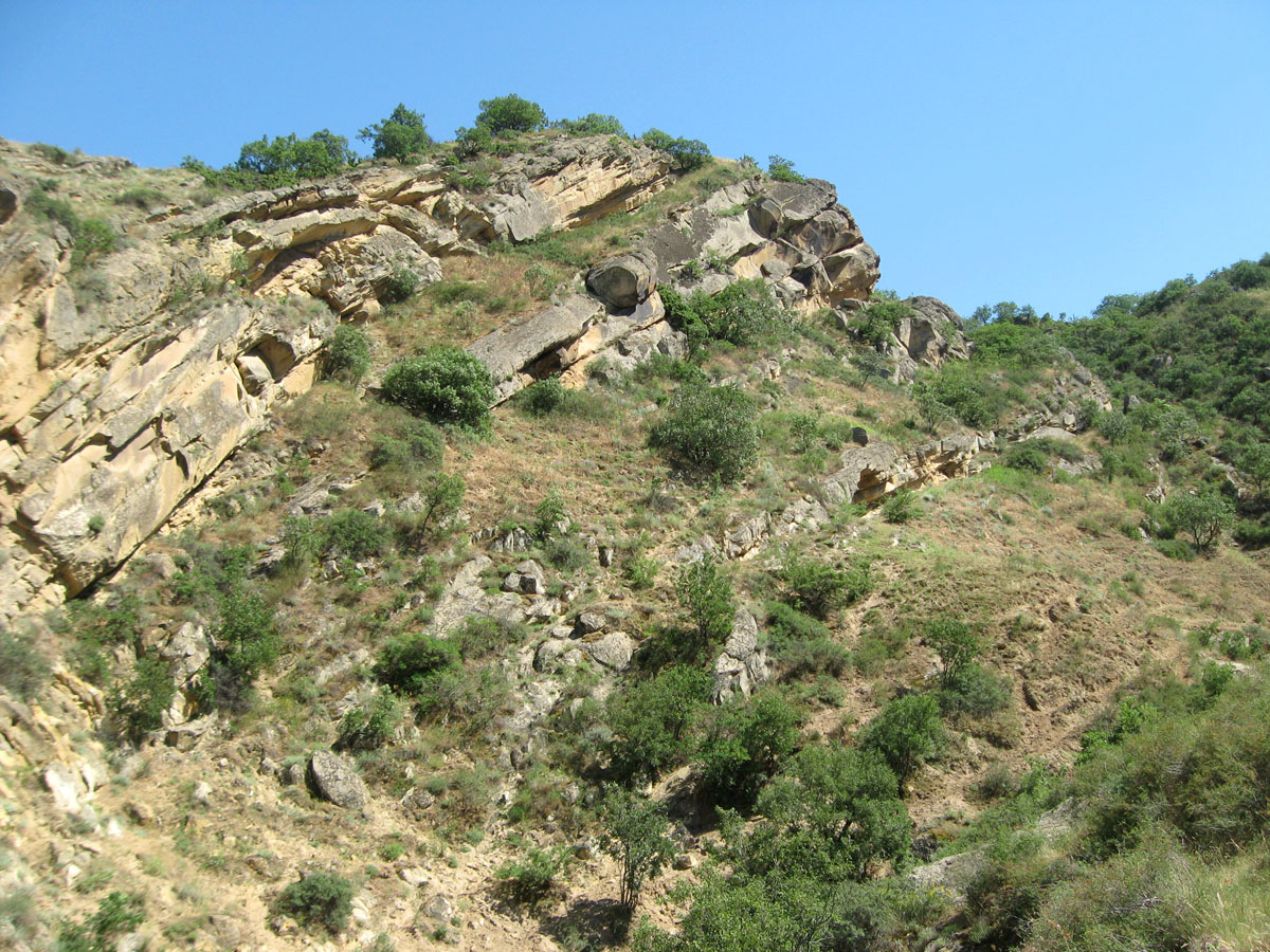 Хребет Нарат-Тюбе, image of landscape/habitat.