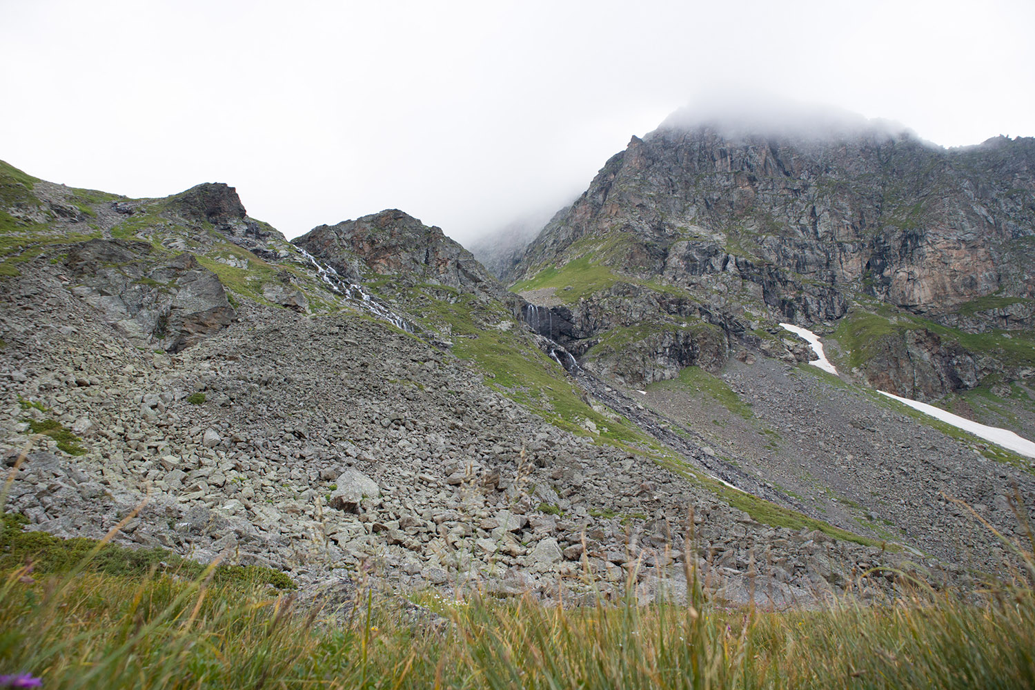 Долина Тихого ручья, image of landscape/habitat.