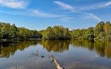 Озеро Чёрное, image of landscape/habitat.