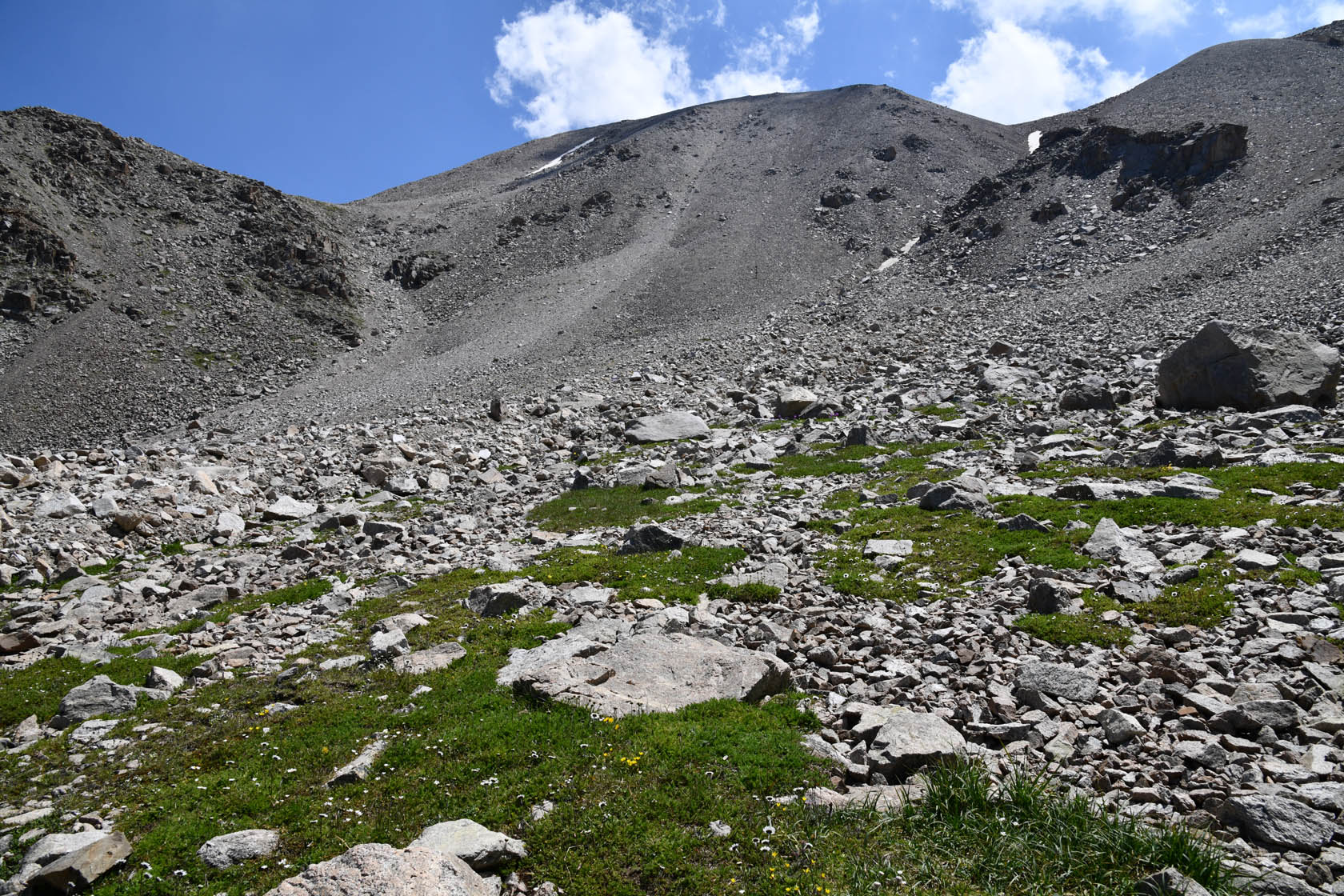 Большое Алматинское ущелье, image of landscape/habitat.