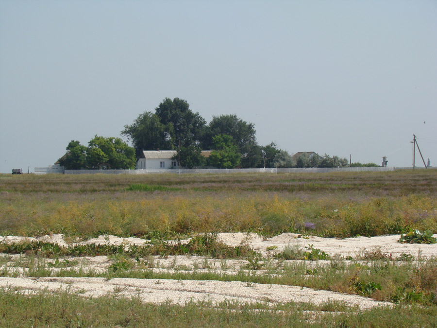 Коса Бирючий остров, image of landscape/habitat.