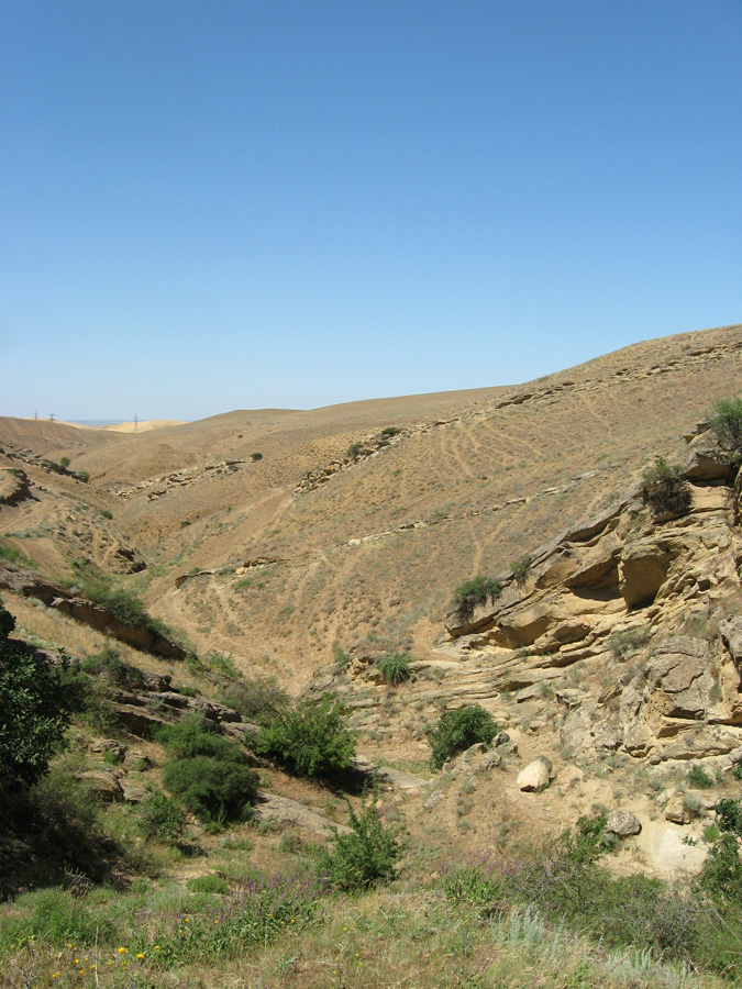 Хребет Нарат-Тюбе, image of landscape/habitat.