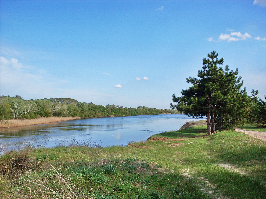 Заказник "Нижне-Кундрюченский", изображение ландшафта.