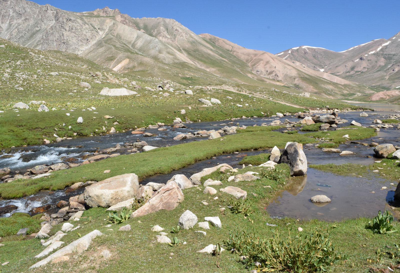 Арашан, окрестности источника, image of landscape/habitat.