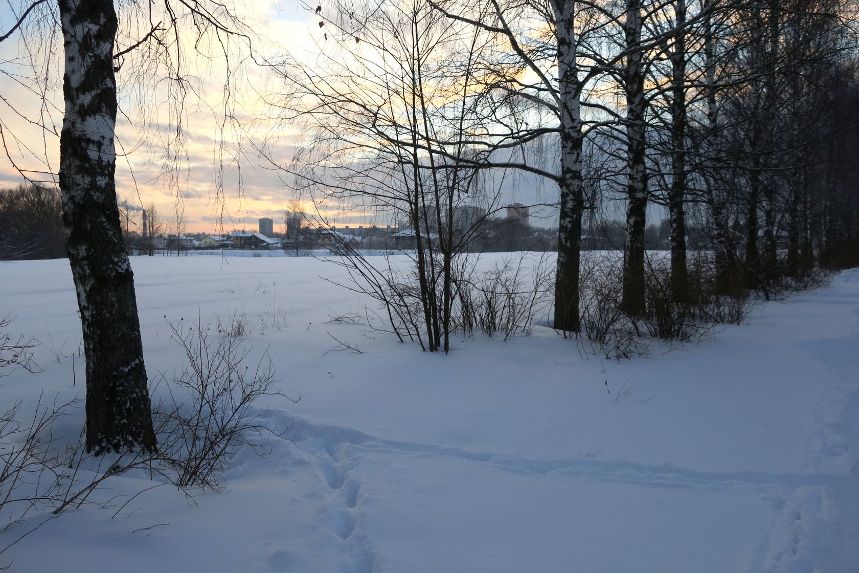 Лосино-Петровский и окрестности, image of landscape/habitat.