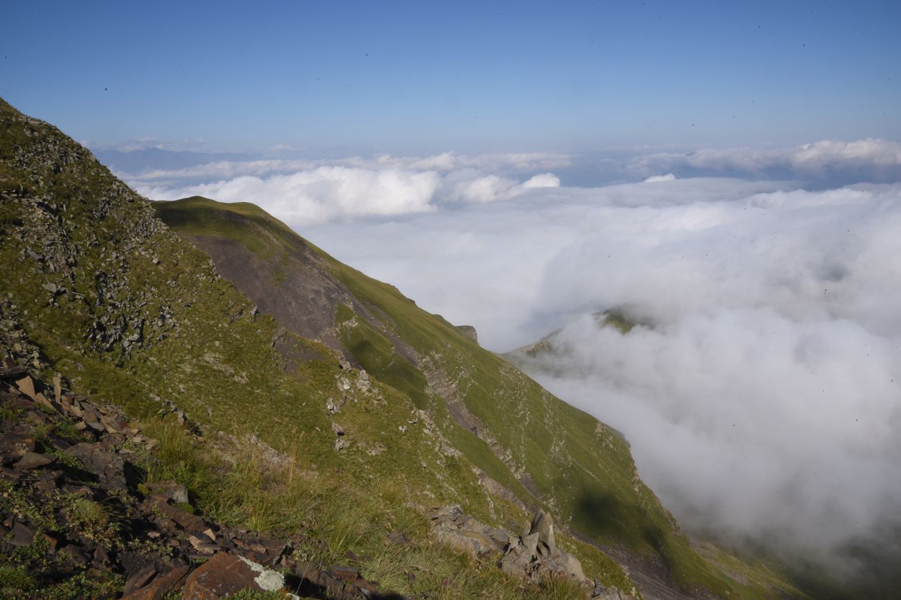 5 км от Цумандинского перевала, image of landscape/habitat.