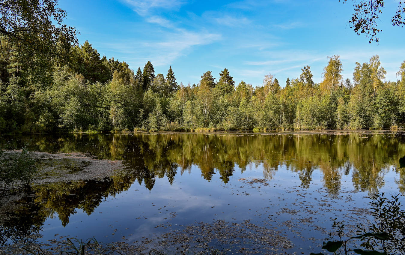 Озеро Чёрное, image of landscape/habitat.