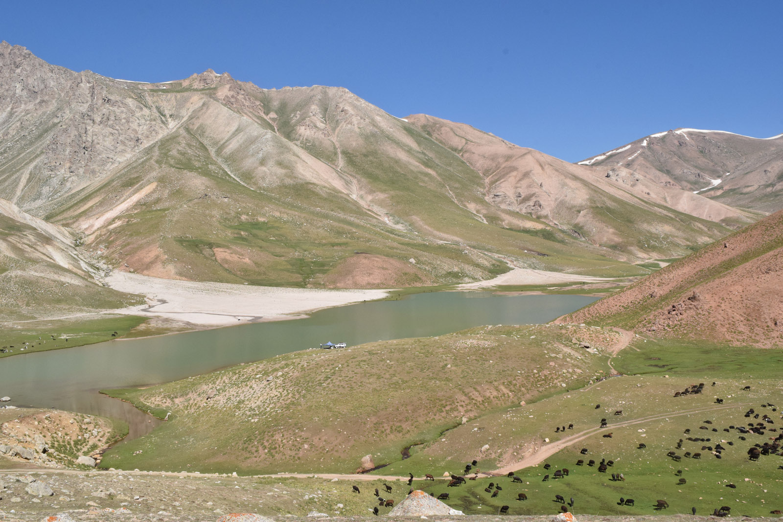 Арашан, окрестности источника, image of landscape/habitat.