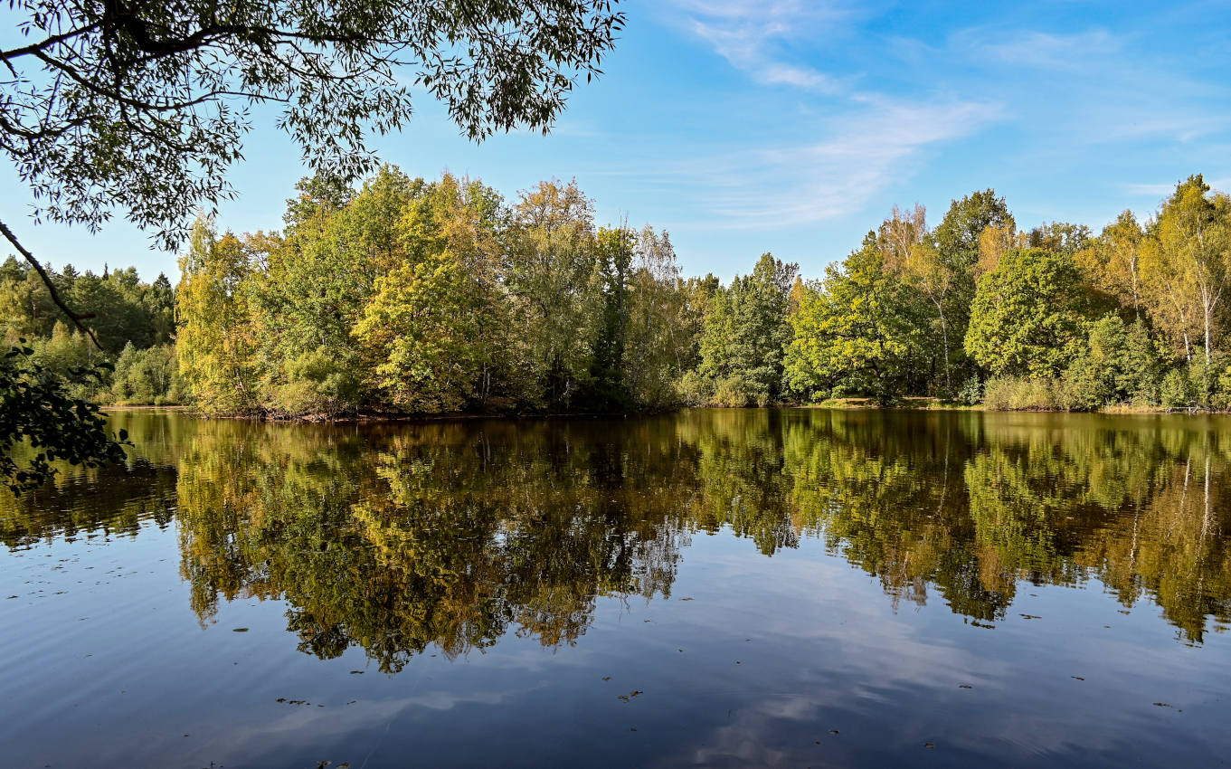 Озеро Чёрное, image of landscape/habitat.