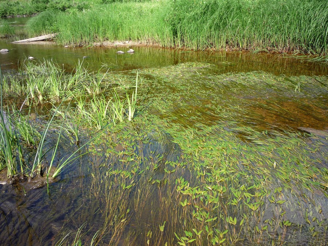 Долина реки Вель, image of landscape/habitat.