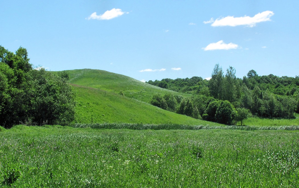 Смоленск, image of landscape/habitat.