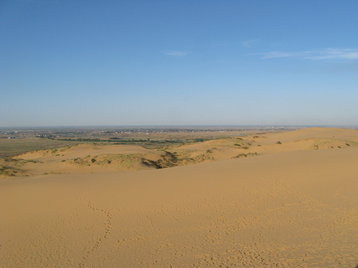 Бархан Сарыкум, image of landscape/habitat.