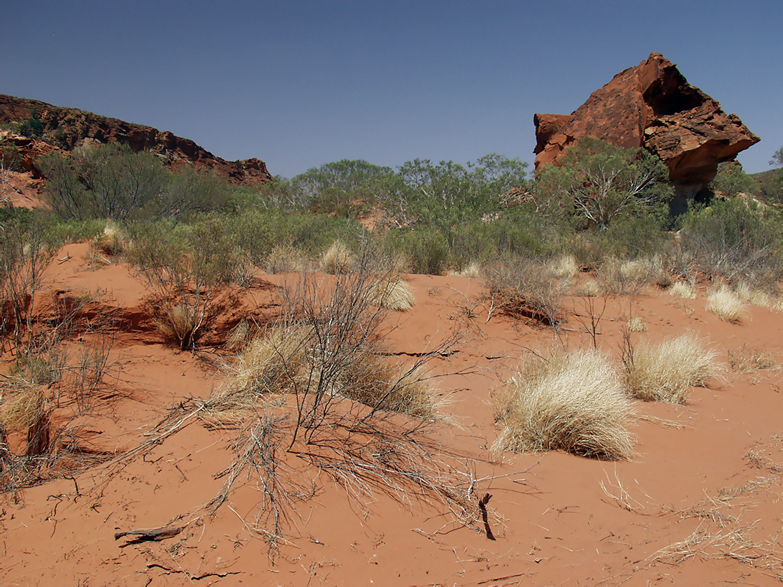 Rainbow Valley, image of landscape/habitat.