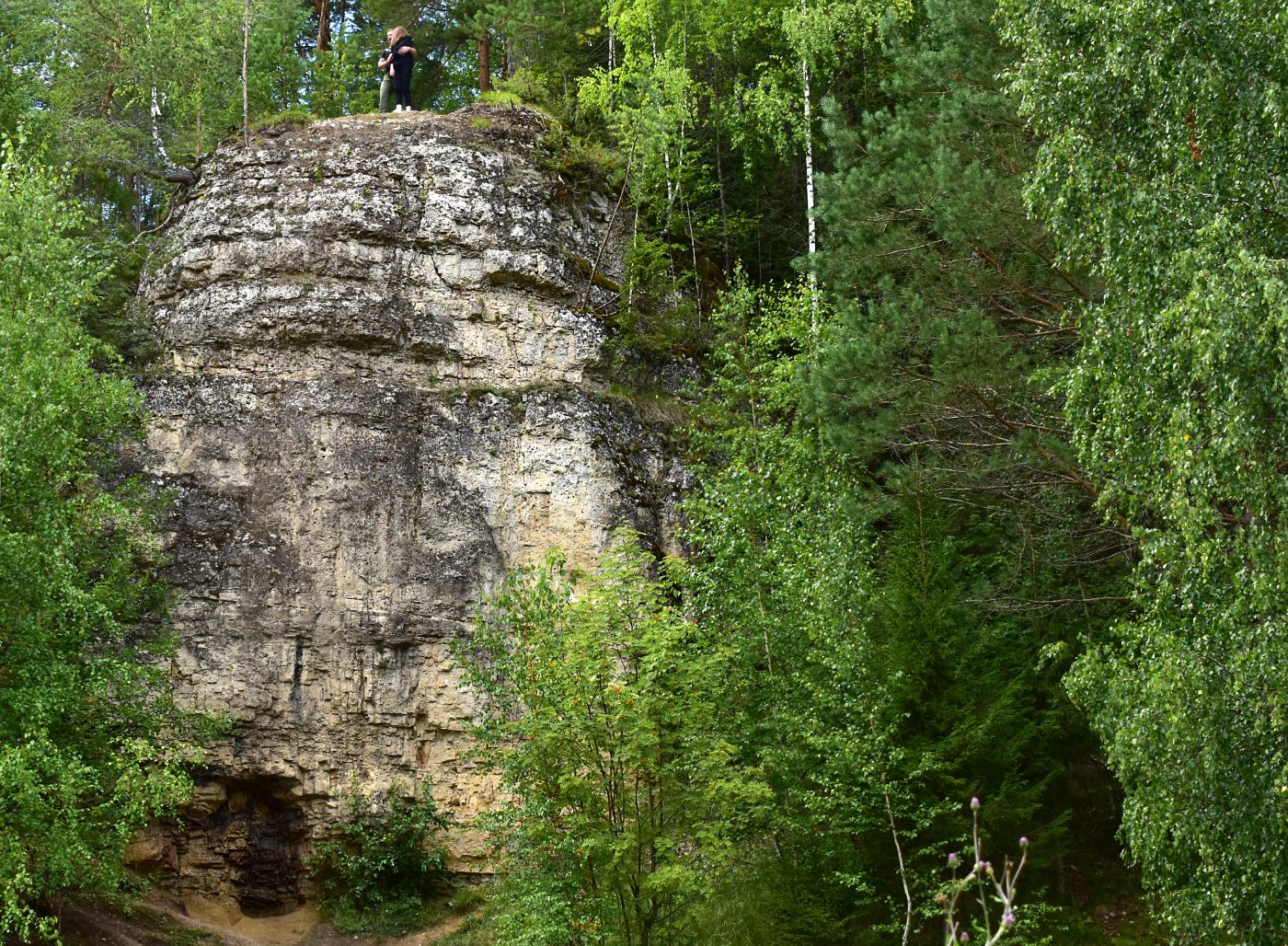 Береснятский БГК, изображение ландшафта.