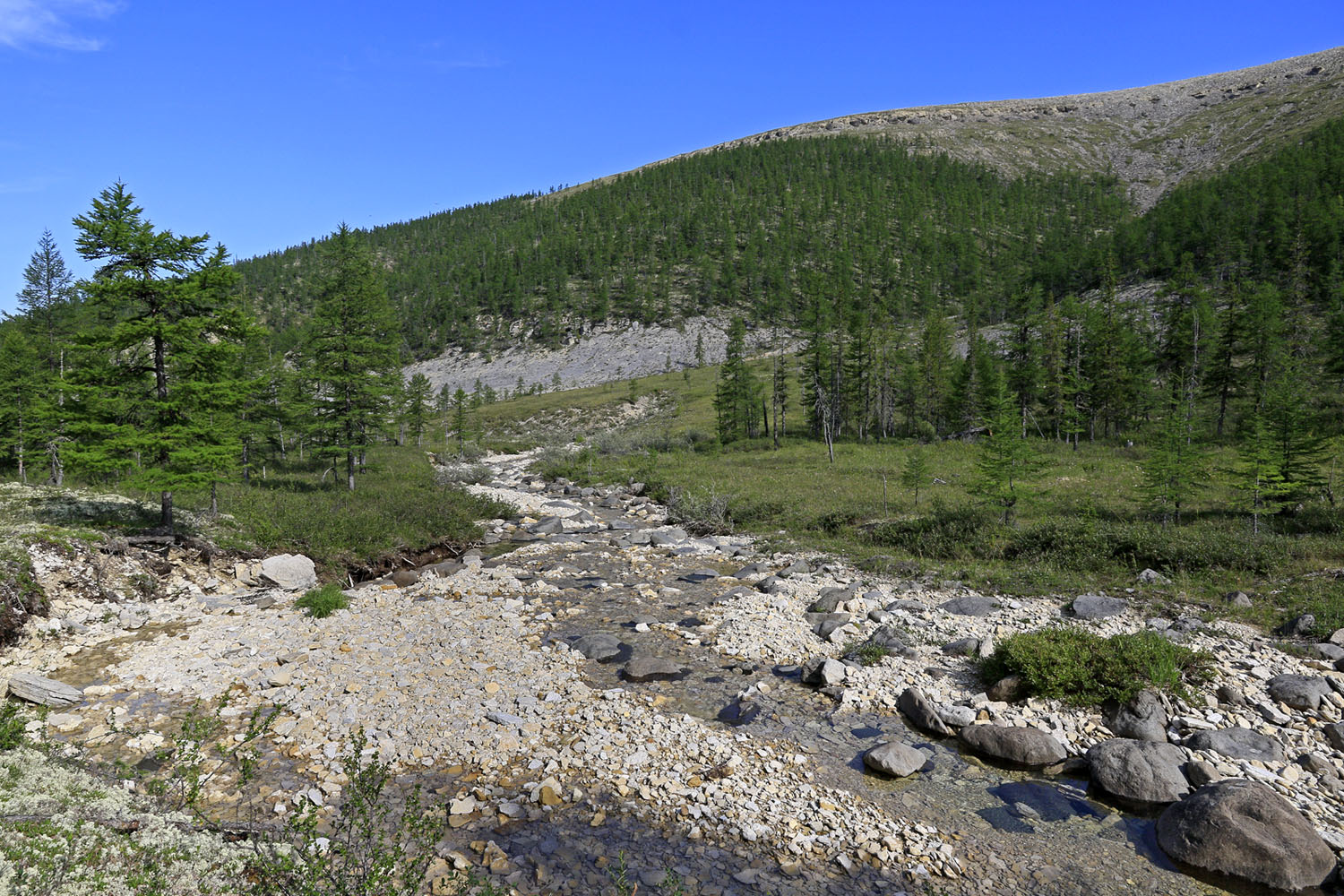 Окрестности реки Олломокит, image of landscape/habitat.