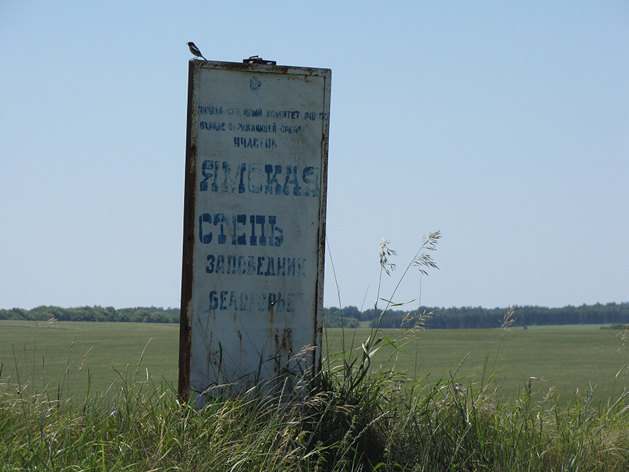 Дубровка, image of landscape/habitat.