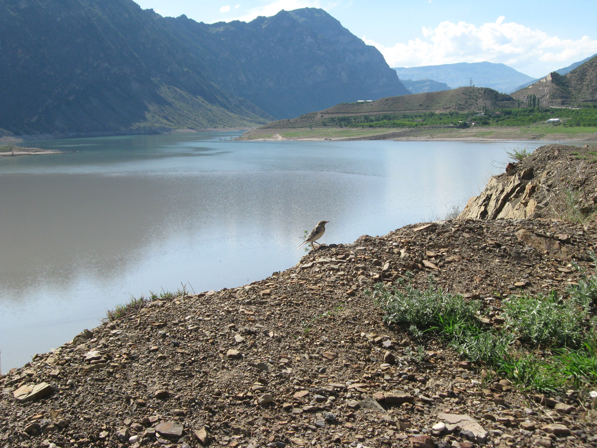 Долина Ирганайского вдхр., image of landscape/habitat.