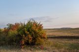 Родничный Дол, image of landscape/habitat.