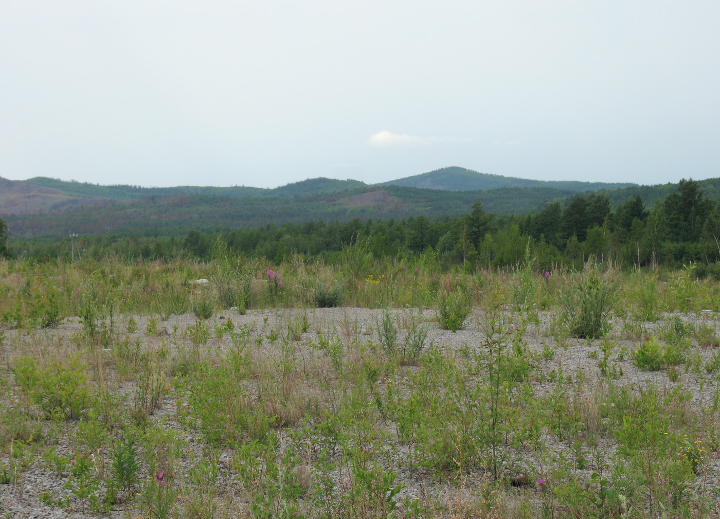 Граница Амурской области, image of landscape/habitat.