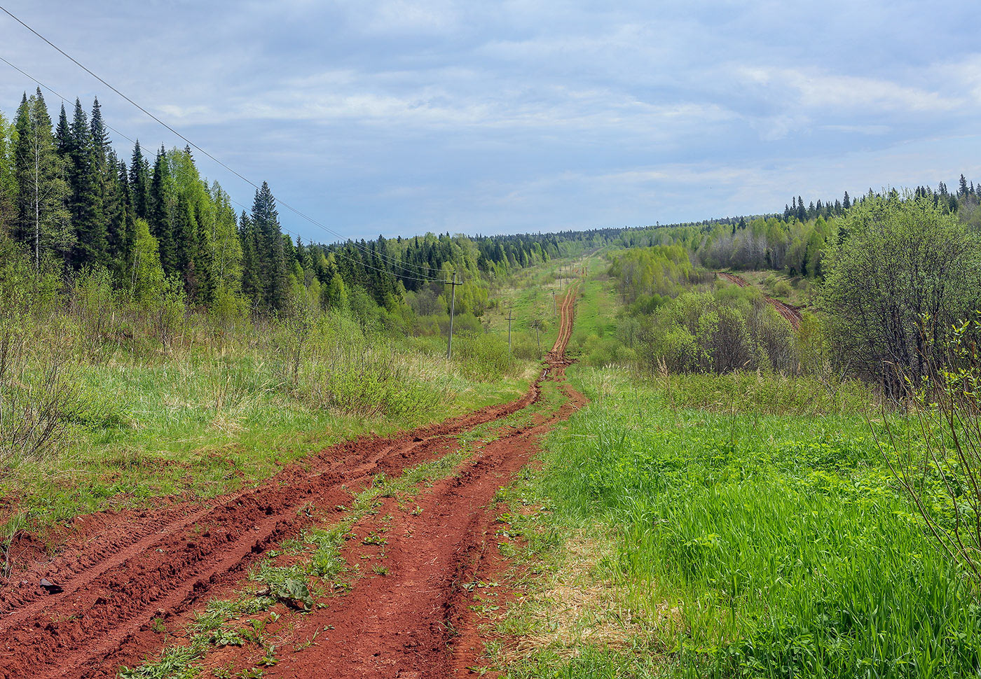 Кунчурихинский бор, image of landscape/habitat.