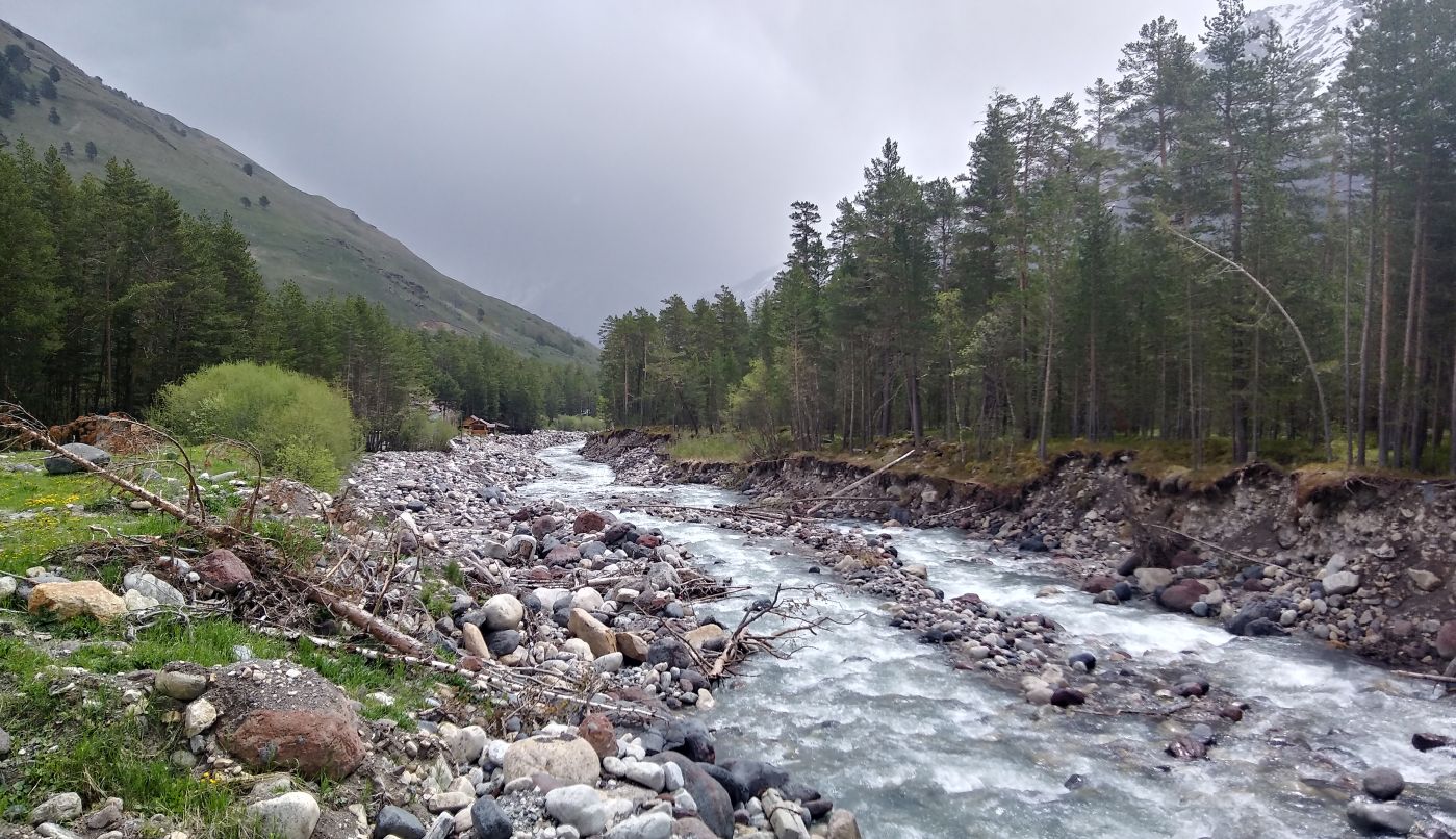 Терскольский лес, image of landscape/habitat.