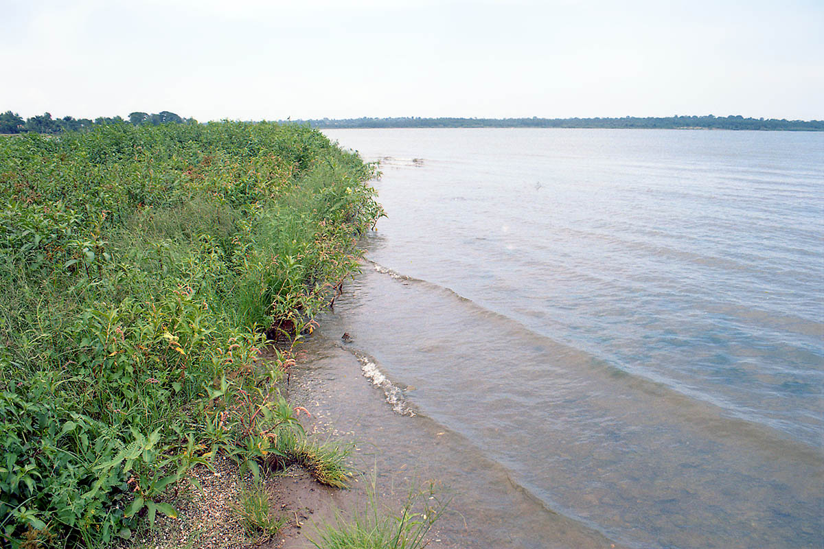 Энтеби, image of landscape/habitat.