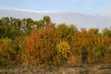 Родничный Дол, image of landscape/habitat.