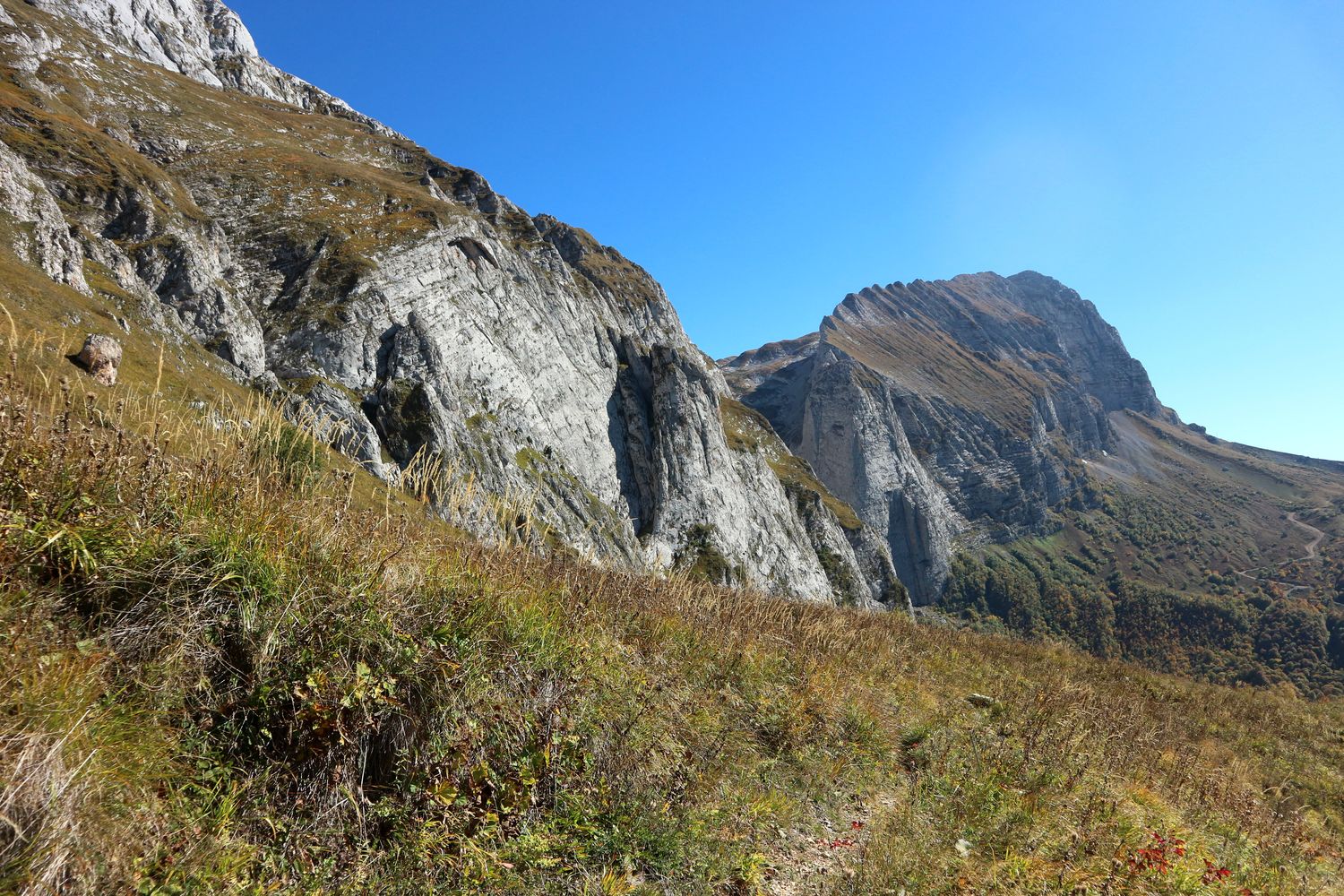 Верховья Пшехи, image of landscape/habitat.