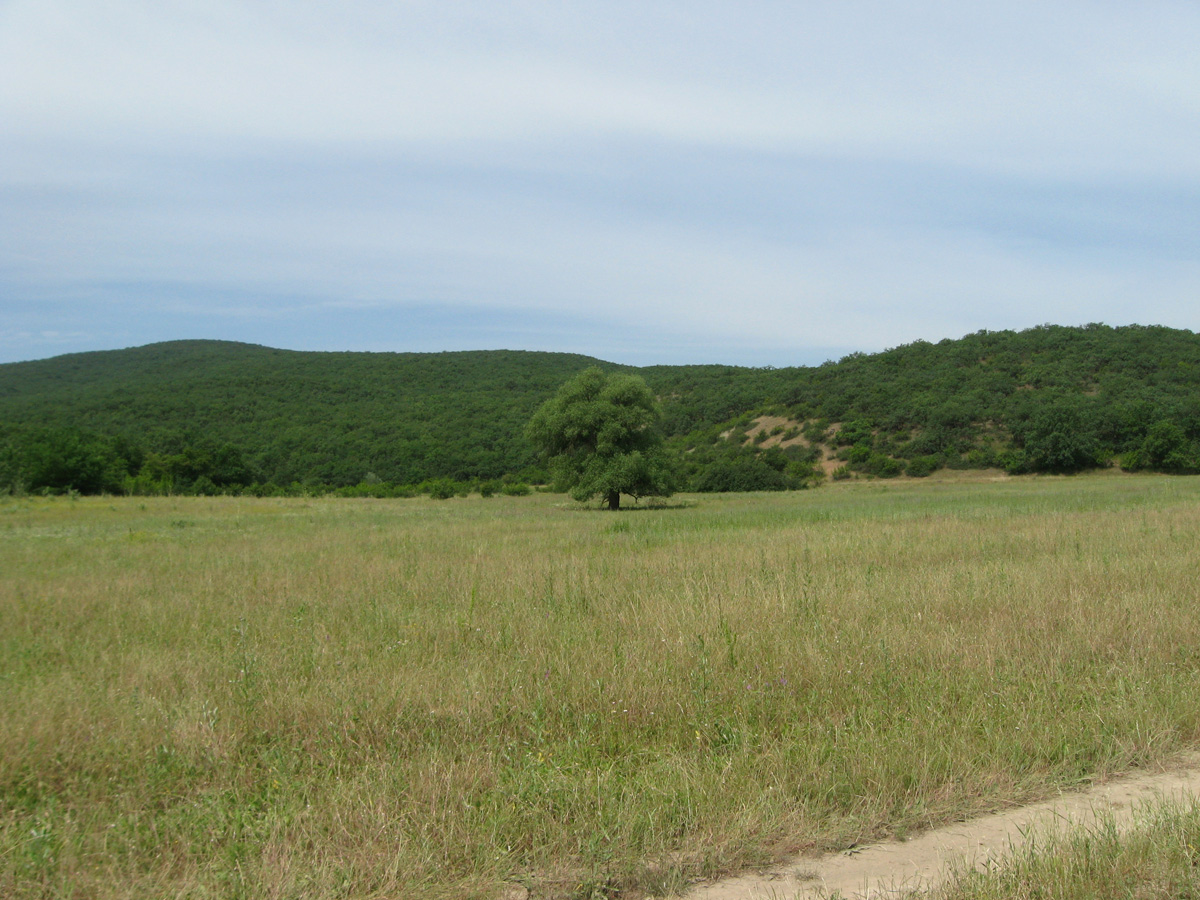 Окрестности села Дарваг, image of landscape/habitat.