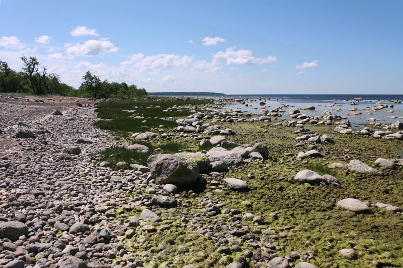 Каравалдай, image of landscape/habitat.