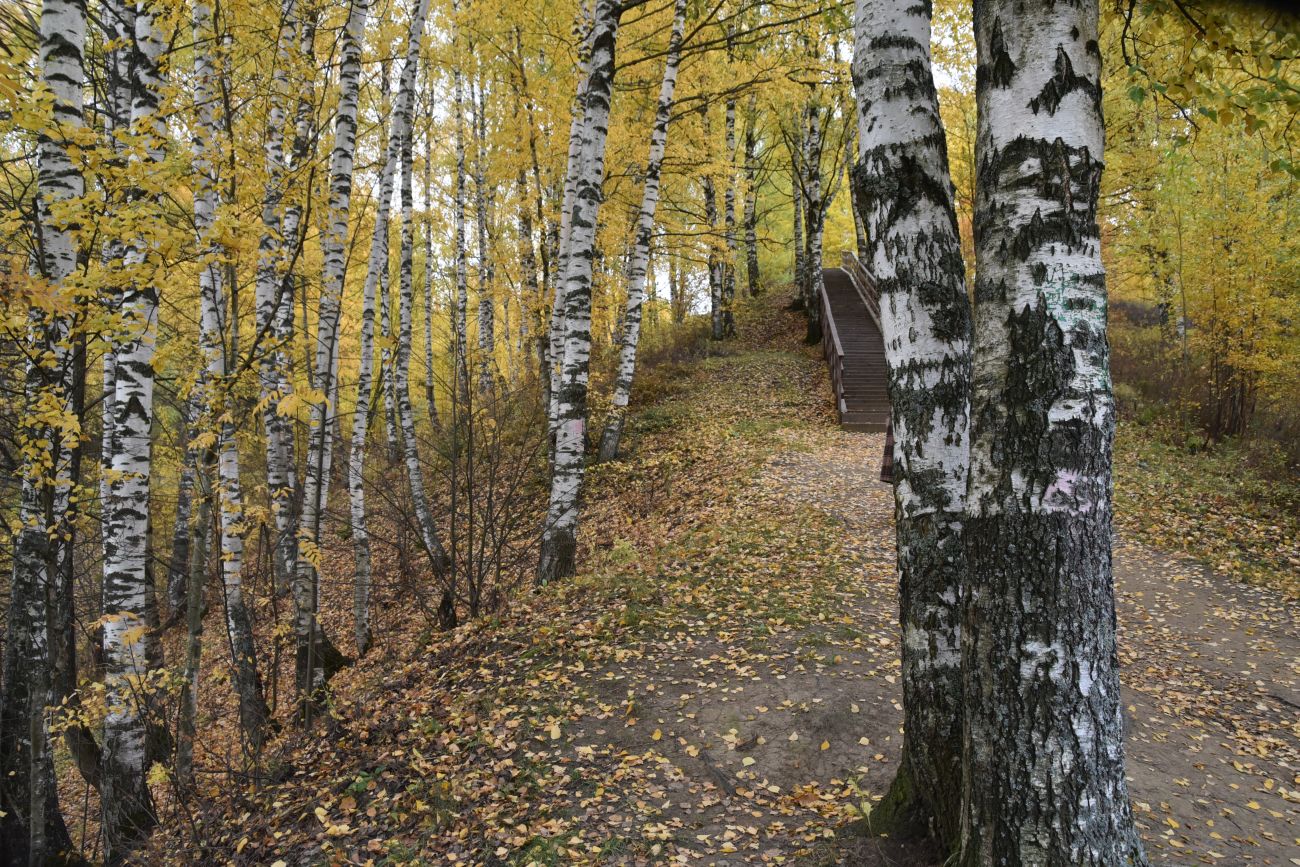 Холм Балчуг, image of landscape/habitat.