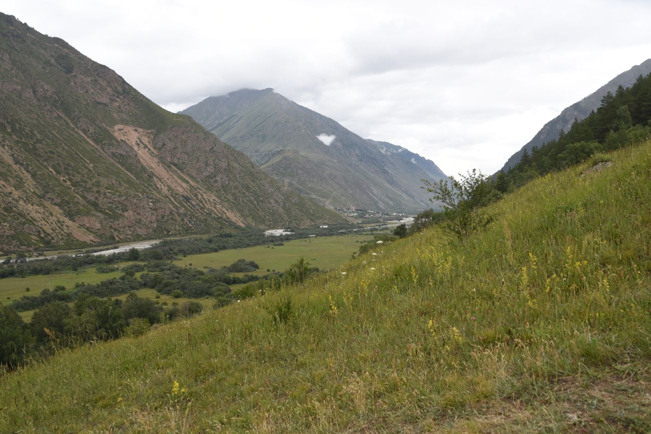 Памятник первовосходителям, image of landscape/habitat.