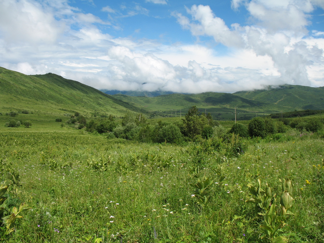 Горы Таловка, image of landscape/habitat.