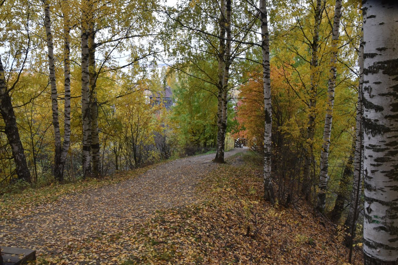 Холм Балчуг, image of landscape/habitat.