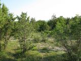 Озерейка, image of landscape/habitat.