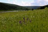 Камень Красный и его окрестности, image of landscape/habitat.