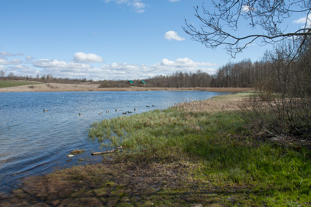 Изборско-Мальская долина, image of landscape/habitat.