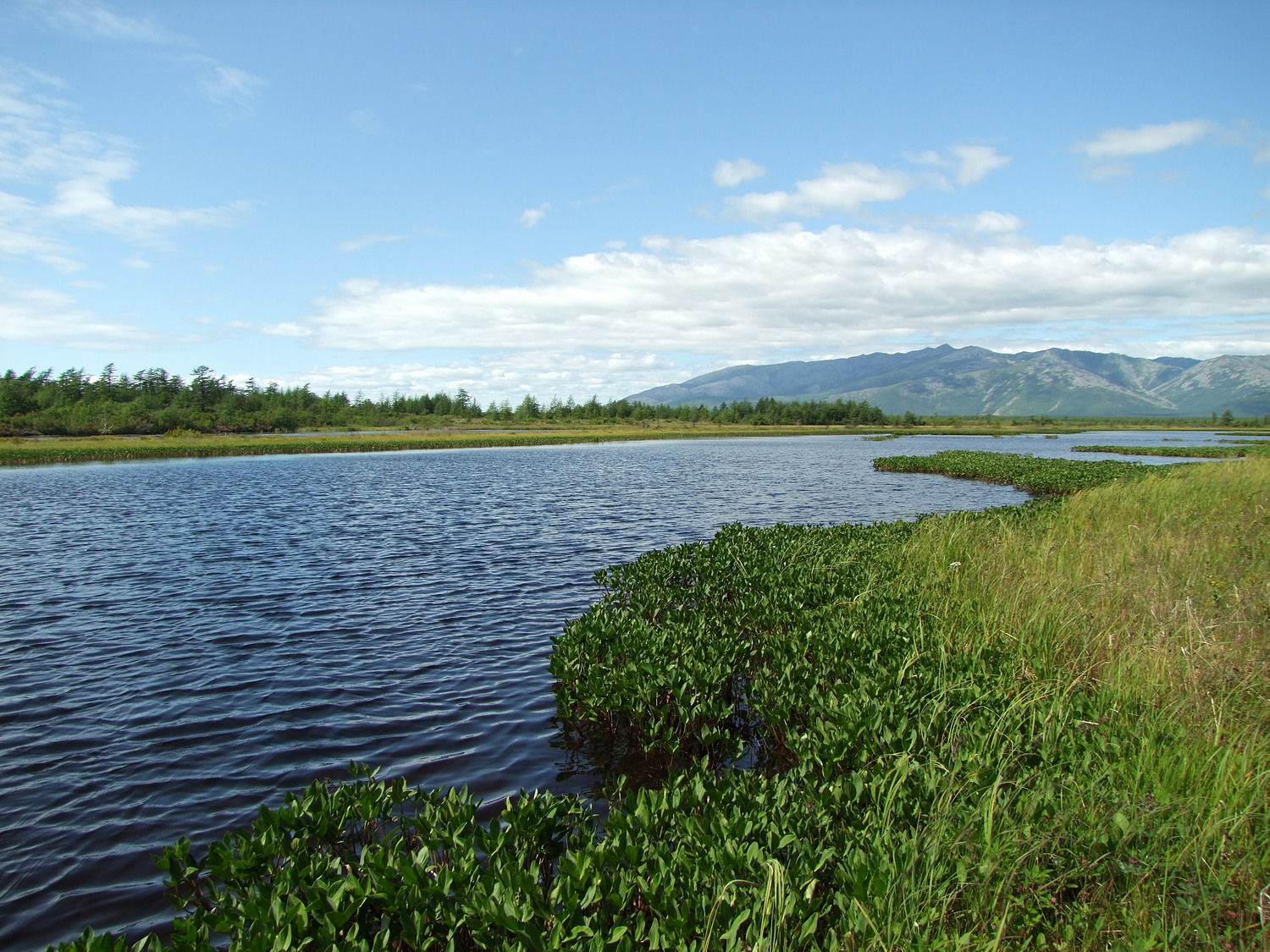 Глухое, image of landscape/habitat.