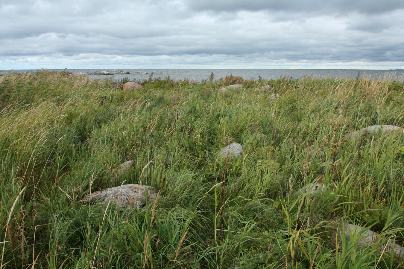 Мыс Дубовский, image of landscape/habitat.