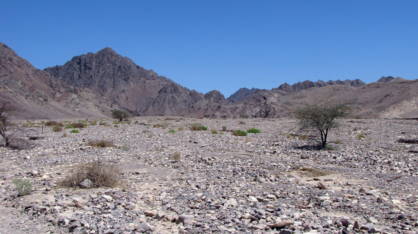 Эйлатские горы, image of landscape/habitat.