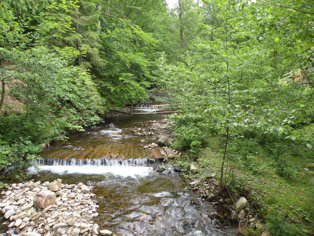 Окрестности оз. Синевир, image of landscape/habitat.