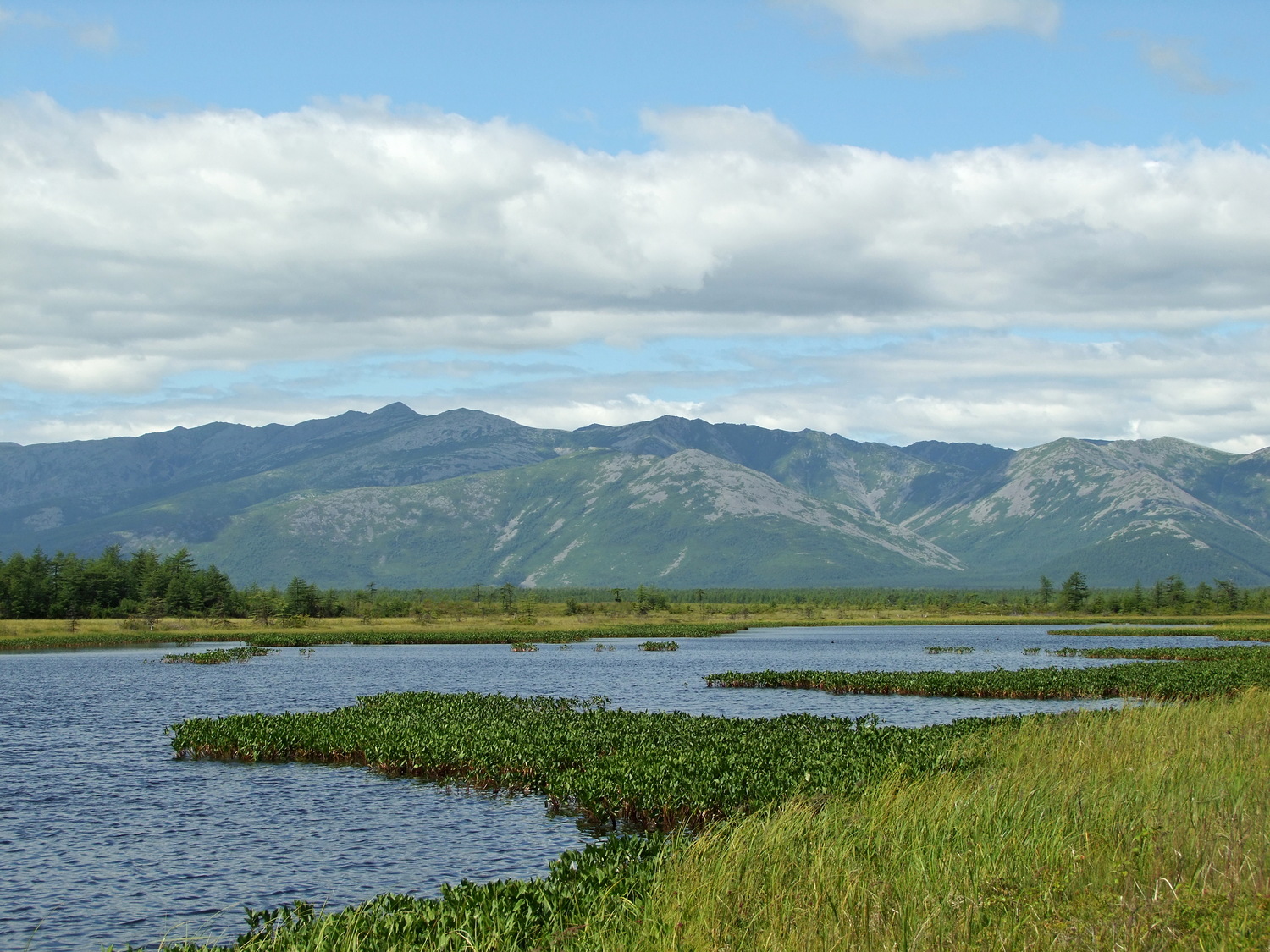 Глухое, image of landscape/habitat.