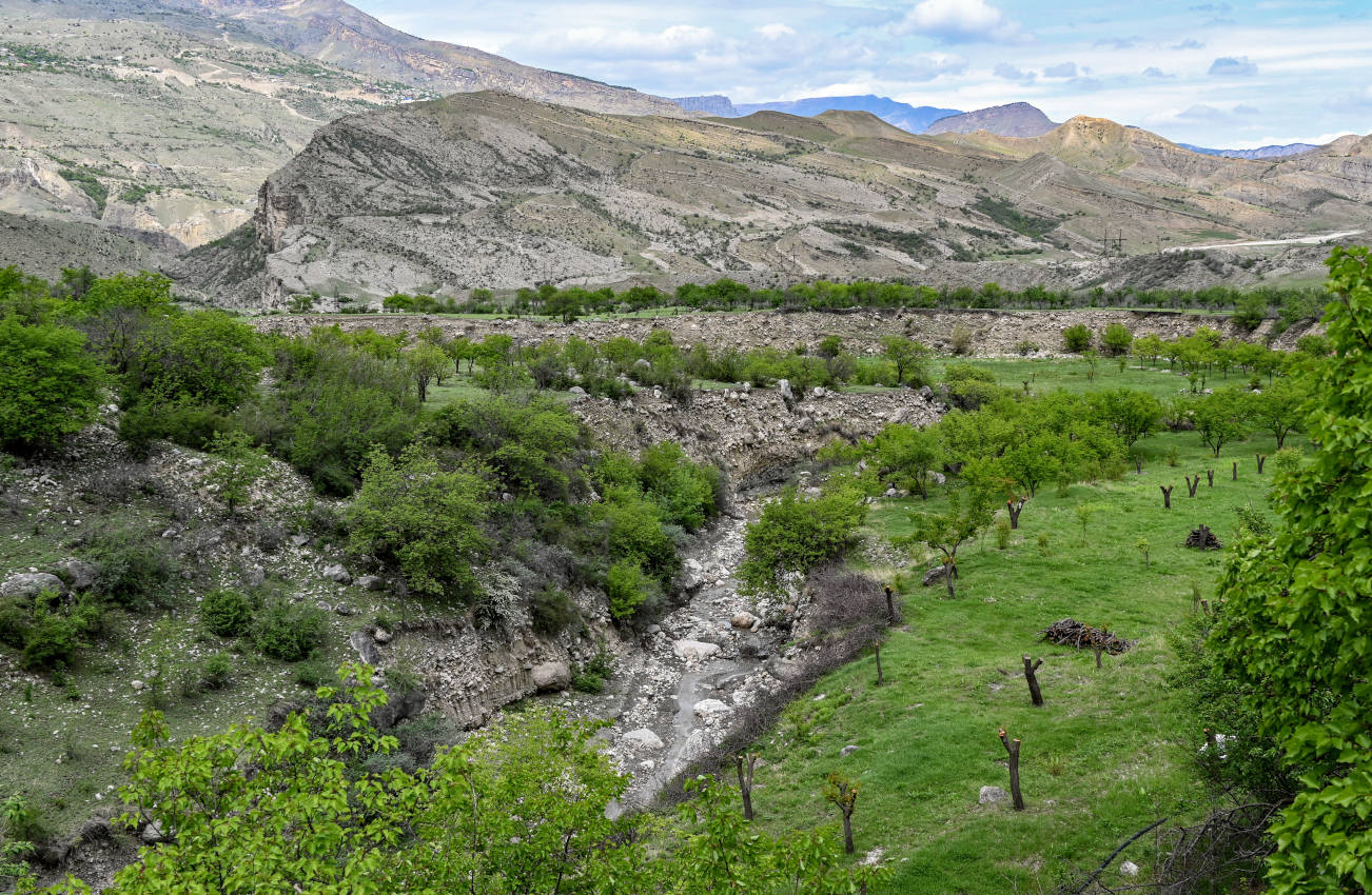 Карадахская теснина, image of landscape/habitat.