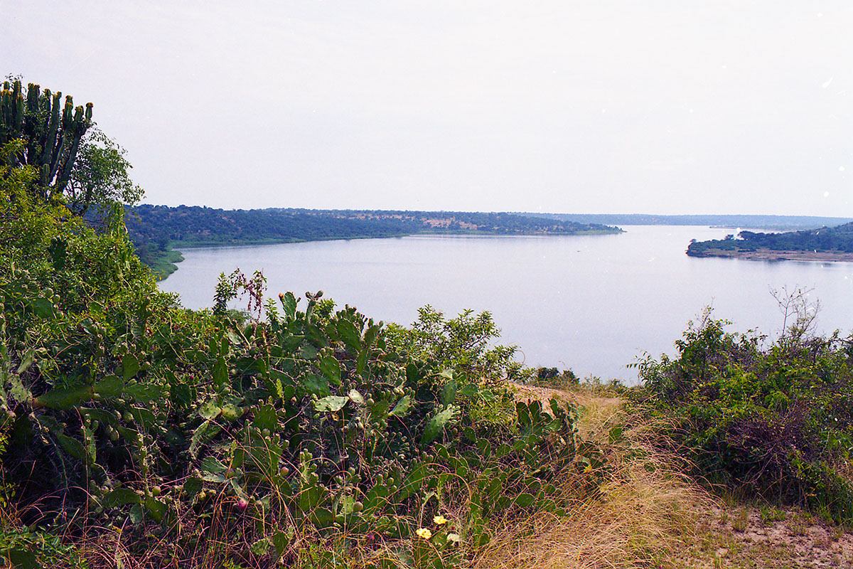 Парк Королевы Элизабеты, image of landscape/habitat.