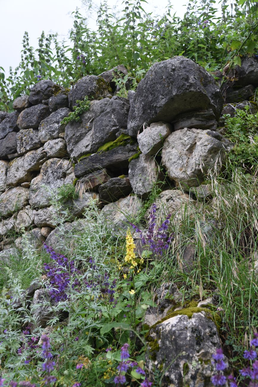 Урочище Лялах и окрестности, image of landscape/habitat.