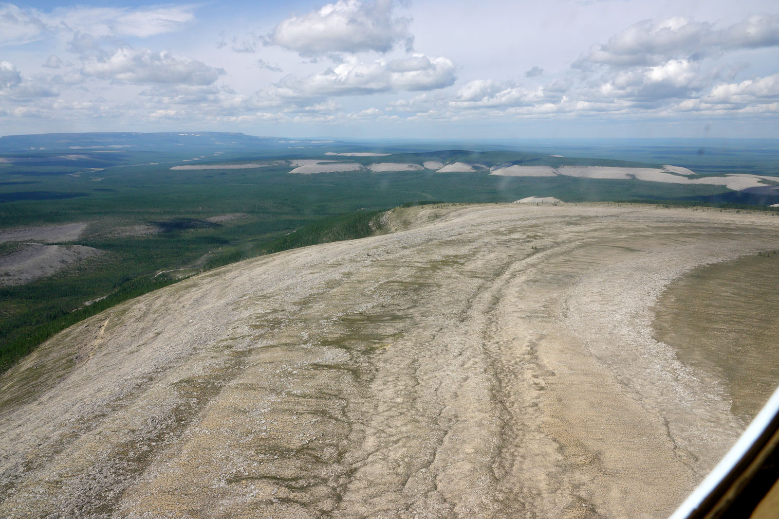 Окрестности реки Олломокит, image of landscape/habitat.