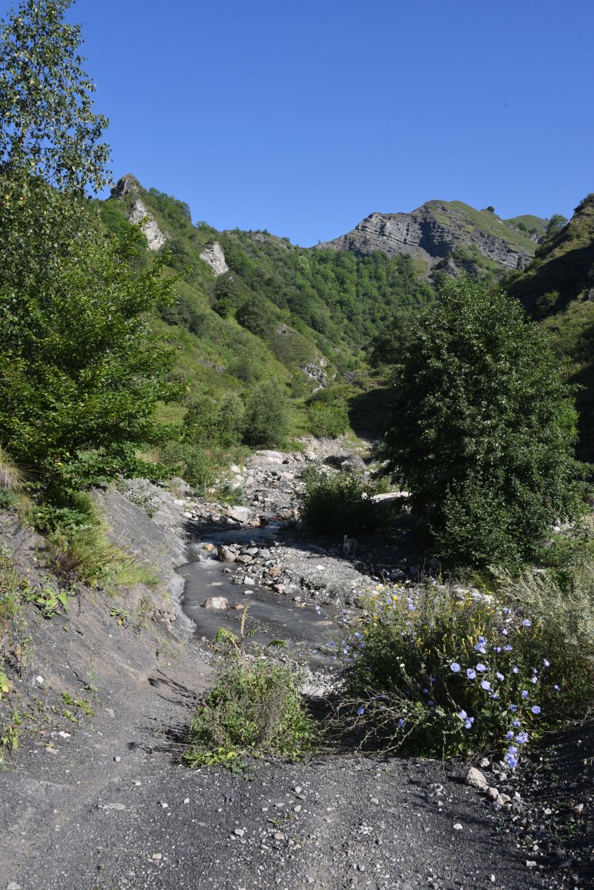 Окрестности водопада Цеси, image of landscape/habitat.