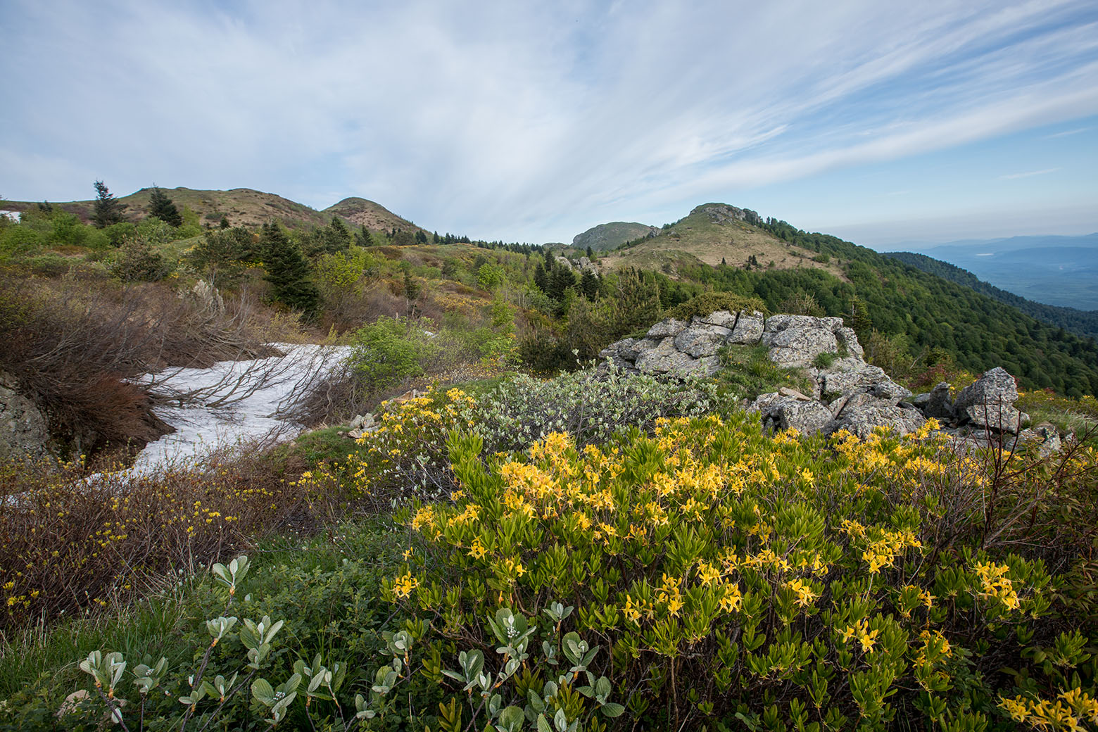 Массив горы Семиглавая, image of landscape/habitat.