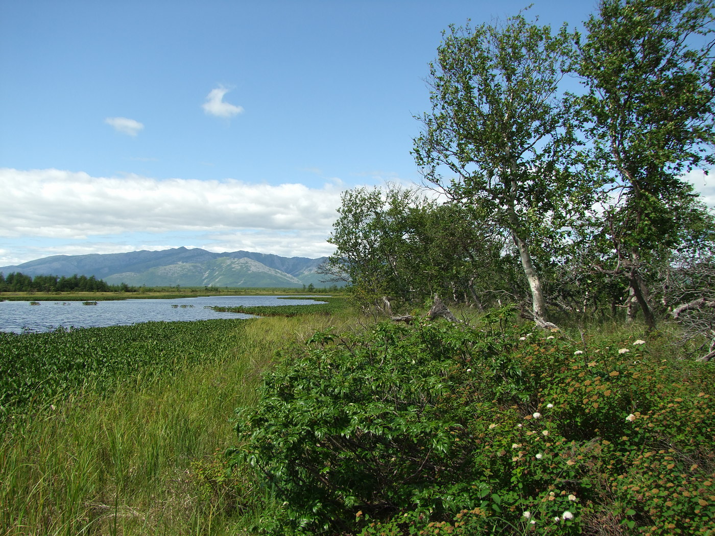 Глухое, image of landscape/habitat.